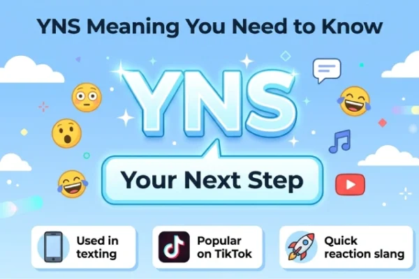 yns meaning